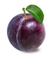 PLUMS PLUMS