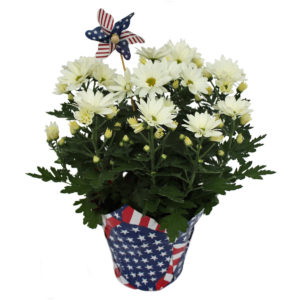 Patriotic Themes